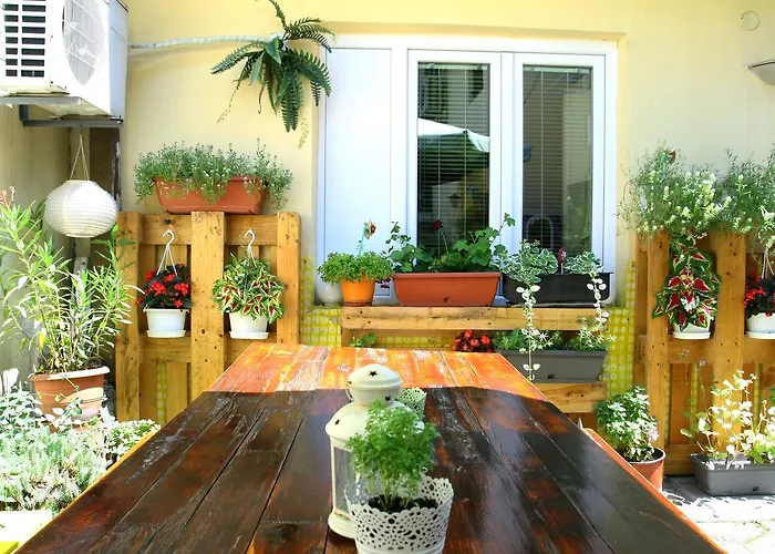 Shanti Hostel